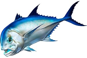 DIGITALFISHART Giant Trevally Beautiful Fish Decal | Fishing decal for Boat, Car, Vehicle, Truck Etc | Waterproof Vinyl Sticker | Many Sizes & Styles Available | 12" to 40" By Digital Fish Art (X-Large, Position 1R)