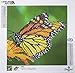 Leisure Arts - Diamond Art Sparkle Art Diamond Paint by Number Monarch Butterfly Kit – 5D Pixel Painting DIY Arts and Crafts for Kids Canvas Wall Decor