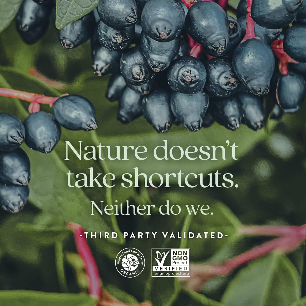 New Chapter Kids Multivitamin Gummies - 65% Less Sugar, Kids Gummy Vitamins with Vitamins C, D3 & Zinc, Non-GMO, Gluten Free, Berry-Citrus, 60ct