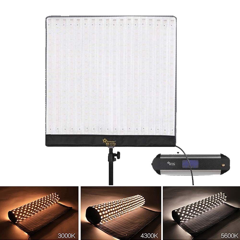 Best falcon photography lighting