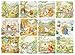 New York Puzzle Company - Beatrix Potter Peter Rabbit - Character Scenes - 500 Piece Jigsaw Puzzle