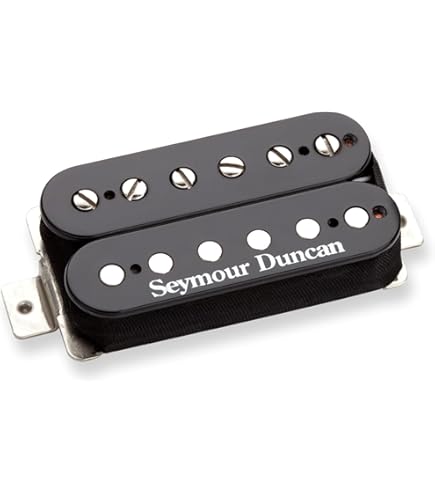 ダンエレクトロ ロングホーン ブラックエレキギター Seymour Duncan Amazon.com: Seymour Duncan TB-6 Duncan Distortion Trembucker