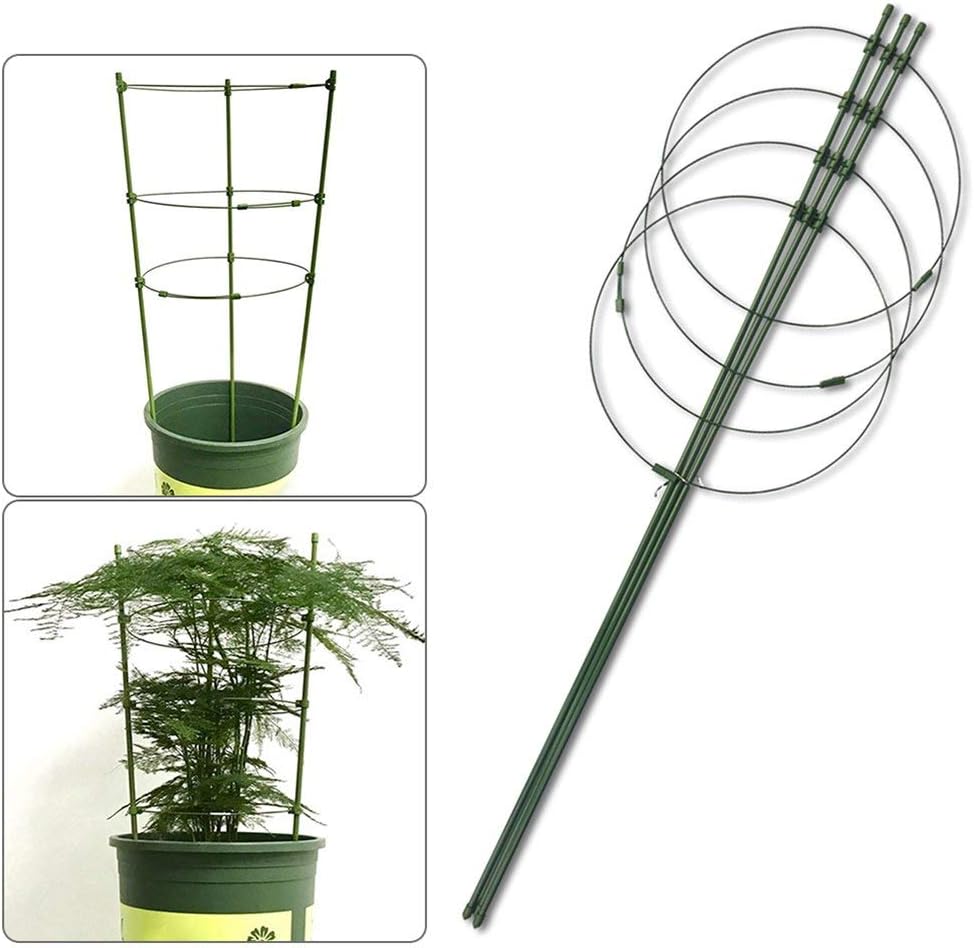 Yunhigh Anillos de Soporte de la Planta, Soporte de Plantas de ...