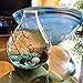 Fashion Table Aquarium - Live Moss Ball, Sea Fan, Amazonite Gravels, Seashell, Red Volcano Rock, Work Desk Decoration Indoor Decor