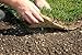 GreenStake Box of 500 Biodegradable Stakes 4