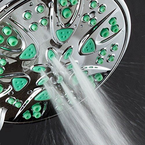 AquaDance Antimicrobial AntiClog HighPressure 6Setting Shower Head with Nozzle Protection