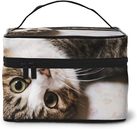 Amazon 化粧ポーチ 許してニャンポーズをとるキジ白猫 化粧バッグ 化粧箱 プロ用 化粧ケース メイクボックス 高品質 大容量 化粧品収納バッグ 洗面用具入れ 出張用 旅行用品収納バッグ 小物入れ 化粧道具 カバー付きのファスナー Mirfjvyz 化粧ポーチ 通販