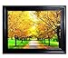Those Flipping Pictures-Framed Parent (Leaves on Trees)
