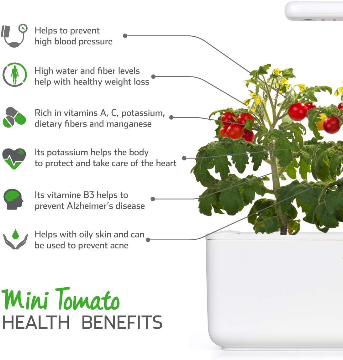 Emsa 3 Cápsulas Tomate Click & Grow, Semillas apta para Smart ...