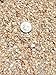 Garden Bloom Authentic Mexican Beach Pebbles 1/4 Inch - Perfect for Succulents, Aquariums, Terrariums, Fairy Gardens, All Landscape Applications (1 LB)
