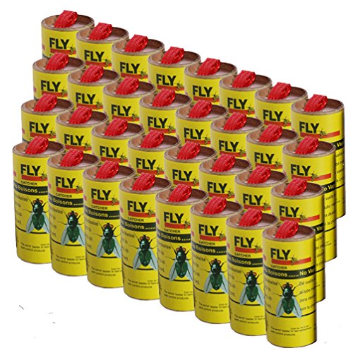 MIOVTV Fly Catcher Trap,Fly Trap,Fly Bait,Fly Paper Ribbon,Sticky Fly Ribbons,Fly Paper Strips,Sticky Fly Strips, Flying Killer-32PCS MIOVTV Fly Catcher Trap,Fly Trap,Fly Bait,Fly Paper Ribbon,Sticky Fly Ribbons,Fly Paper Strips,Sticky Fly Strips, Flying Killer-32PCS