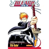 Bleach, Vol. 1
