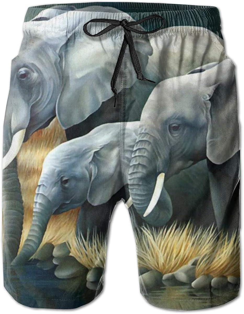 Men's Swim Trunks The Elephant Family Quick Dry Funny