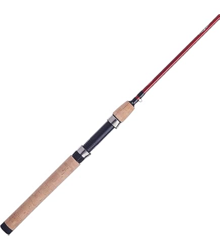 Amazon.com: Anglo & Company Paragon G5003 Spinning Rod