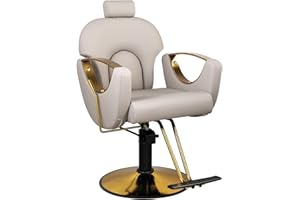 Dangvivi Gray Salon Chair for Hair Stylist, Barber Chair for Home Barbershop, Recling Hair Salon Chair with Hydraulic Pump,360°Rotation,130°Recline,Beauty Salon Hairstylist Styling Chairs