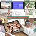 Digital Picture Frame, Videosky 8 inch Digital Photo Frame with 1920×1080 IPS Screen Support Breakpoint Play, Music, 1080P Video, Auto Power On/Off, Remotr, SD Card and USBthumb 3