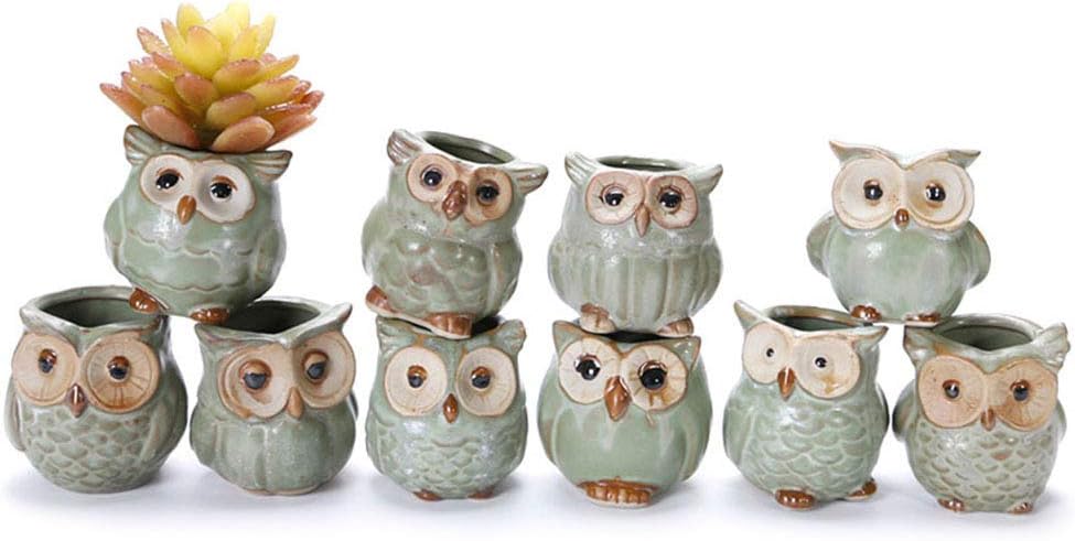Domeilleur 5pcs Ceramic Flower Pot Owl Shape Succulent Plant Container for Garden Home Decoration
