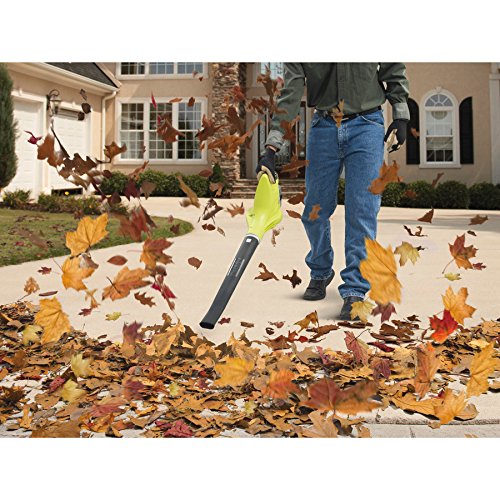 Ryobi OBL1802 18V One Plus Akku-Gebläse – Bild 4