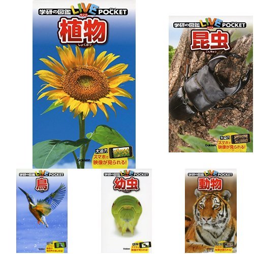 超特価セール 送料無料 本 ポプラディア情報館 食と健康 新品 本 絵本 児童書 学習図鑑 ポプラ社 メール便全国送料無料 R4urealtygroup Com
