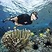 Seavenger Navigator 3mm Shorty | Short Sleeve Wetsuit for Men and Women | Surfing, Snorkeling, Scuba Diving (Scuba Black, Men's 2X-Large)