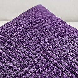 Fancy Homi 2 Packs Purple Decorative Throw Pillow
