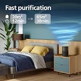 Philips Air Purifier 900 Series HEPA NanoProtect Activated Carbon Filter CADR view 3