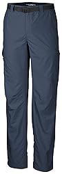 Columbia Men's Silver Ridge Cargo Pant, Whale, 44W