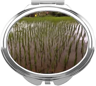 frendshipbeautyfarm Vintage espejo compacto: Amazon.es: Hogar