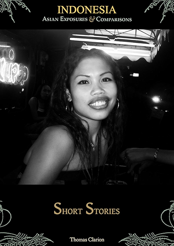 Download Bordellos and Brothels: Indonesia (English Edition) PDF