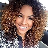 ELIM Ombre Brown Wigs for Black Women Short Afro Wig Kinky Curly Wig Realistic Looking Heat Resistant Full Wigs Z114