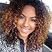YOURWIGS Ombre Synthetic Wigs for Black Women Brown Kinky Curly Ladies Wig Realistic Looking Heat Resistant Full Wigs 16'' with Wig Cap Z083
