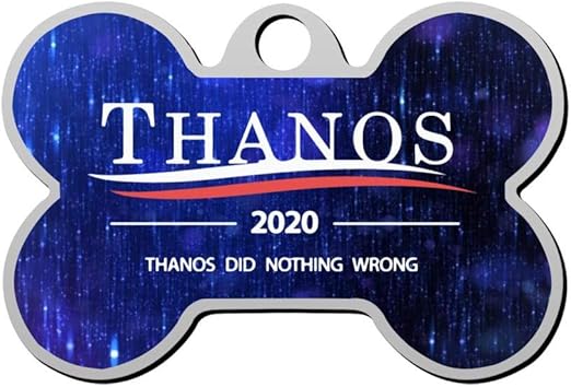 curly long haired dachshund