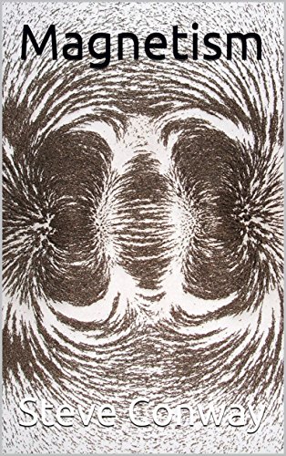 Magnetism (Heidi and Erasmus Science Book 1)