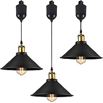 Custom Track Lighting Pendants Explore 15 Track Lighting Pendant Ideas
