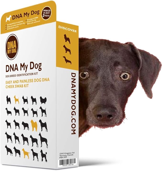 home dna dog test