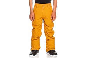 Quiksilver Estate Kids Snowboard Pants