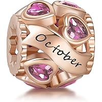 NINGAN Birthstone Charms 925 Sterling Silver Love Heart Openwork Bead for Charm Bracelets and Necklaces with 5A Cubic Zirconi