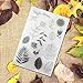 Hestio Leaves Plants Series Silicone Stamp Seal DIY Scrapbooking Album Cards Making