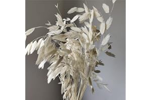 MOORCHOCO Dried Grass Bundle, 20 Stems 15-17 Inch Natural Chasmanthium Flower Bouquet for Vase, DIY Floral Arrangements, Weddings Party Home Baby Shower Elegant Decor (White)