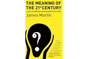 The Meaning of the 21st Century: A VItal Blueprint of Ensuring Our Future