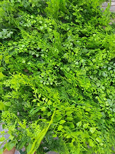 Artificial Hedge Plant Privacy Fence Screen Greenery Panels for Both Outdoor or Indoor, garden or backyard home decorations (48pack around 132 sqf) (20x20 inch Artificial Style B, 48PC)