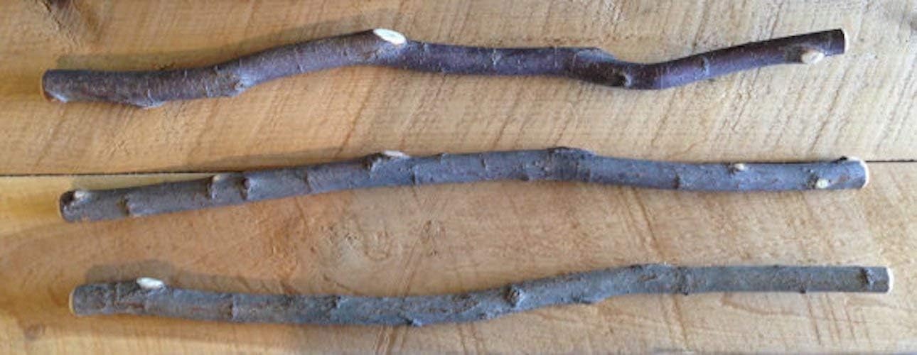 Willow Wand With Moonstone