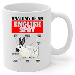 Lovesout Funny English Spot Rabbit Anatomy Chart