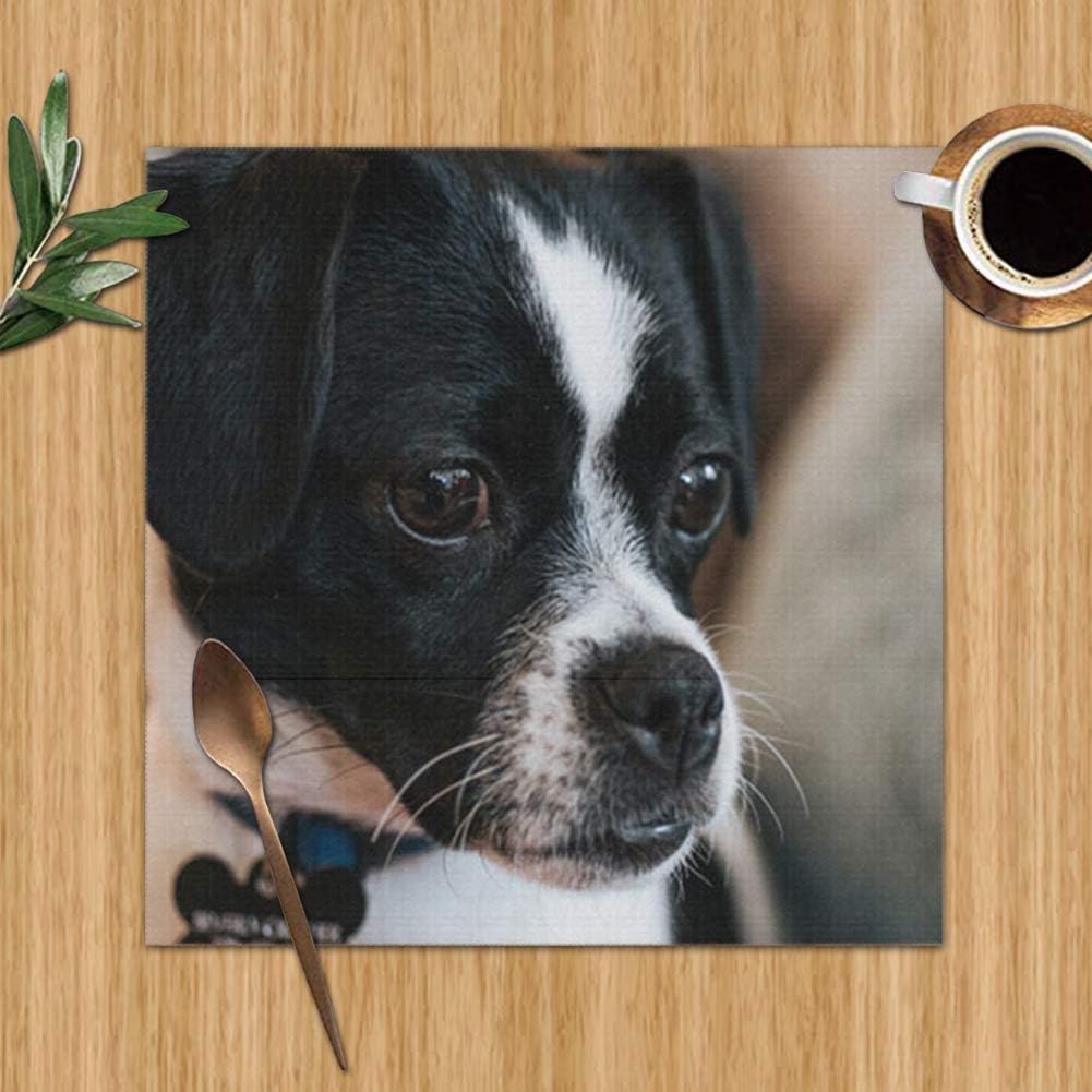 Get Amazon Com Placemats Set Of 6 For Dining Table Cute Black White Free Get Wallpaper Amazon Com Placemats Set Of 6 For Dining Table Cute Black White For iPhone Free