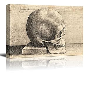Right Profile of a Skull (After Leonardo da Vinci) by Wenceslaus Hollar - Canvas Print Wall Art Famous Oil Painting Reproduction - 12" x 18"