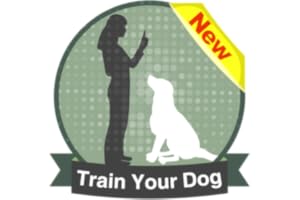 How To Teach a Dog ?