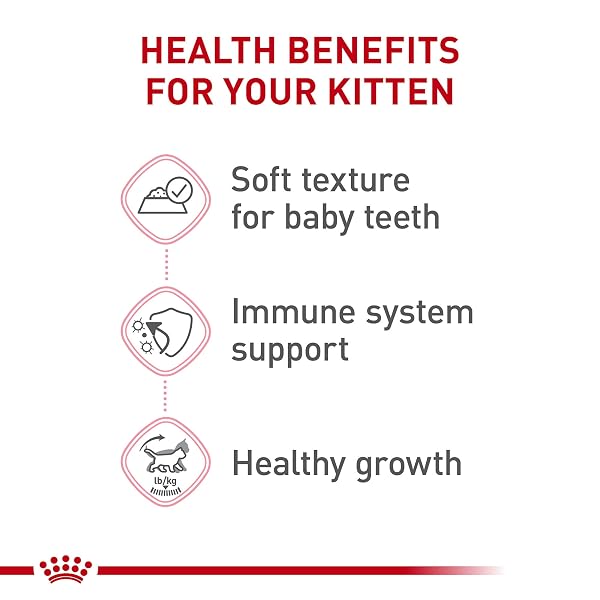 ROYAL CANIN FELINE HEALTH NUTRITION KITTEN THIN SLICES IN GRAVY CAT FOOD, 3 OZ (PACK OF 24)