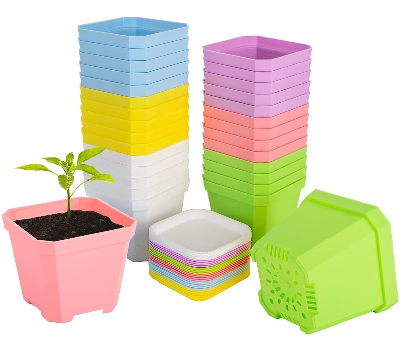 KAHEIGN 24Pcs Square Plant Pots, 7cm Thicken Plastic Flower Pots Succulent Planter Nursery Pots with Pallet/Trays for Small Potted Plants (6 Colors)