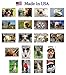 FUNNY ANIMALS postcard set of 20 postcards. Funny animal quotes post card variety pack. Made in USA.
