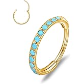 limerencia Nose Rings Hoop - 20G Titanium Turquoise Nose Ring for Women Men, Hinged Segment Septum Lip Rings Cartilage Conch Rook Helix Tragus Daith Earrings, Piercing Jewelry 6/8/10mm